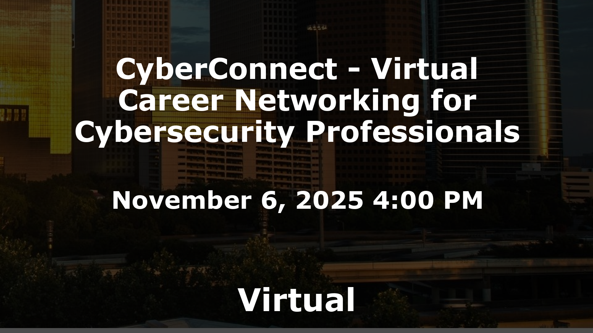 CyberConnect - Virtual Career Networking for Cybersecurity Professionals event image